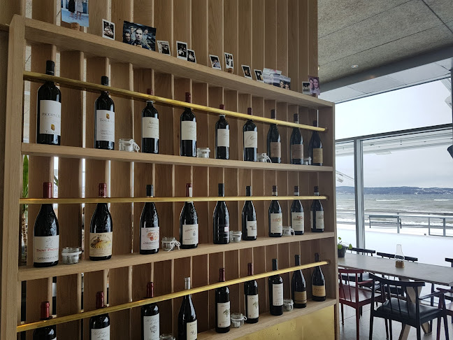 Comentarii opinii despre Sjön