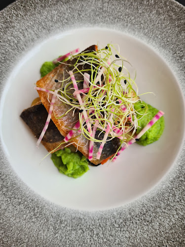 Comentarii opinii despre Operagrillen