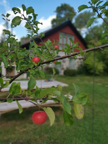 Comentarii opinii despre Boo Gårdsbageri