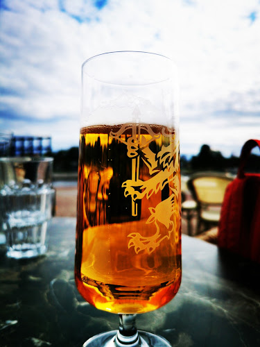 Comments and reviews of LungoMare