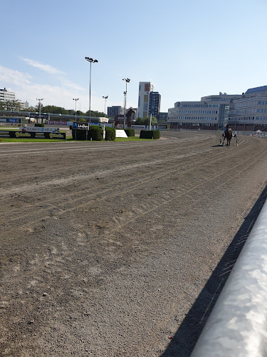 Comentarii opinii despre Pershing