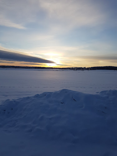 Mattsjonsgården Phone number