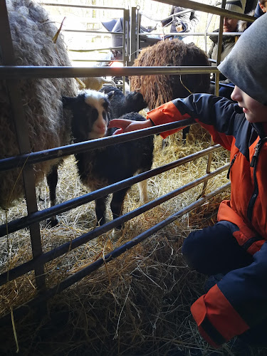 Mariebergs Gårdsbutik
