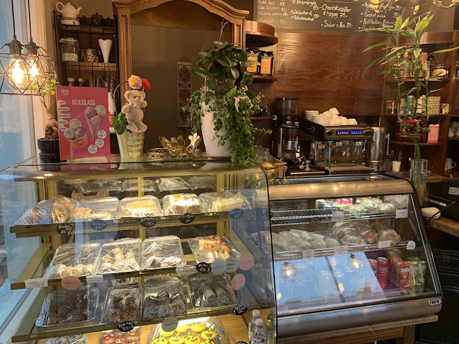 Comentarii opinii despre Sunes Fik