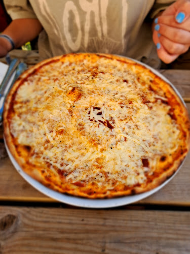 Comentarii opinii despre Viking