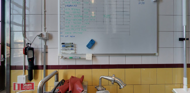 Nya Carnegiebryggeriet