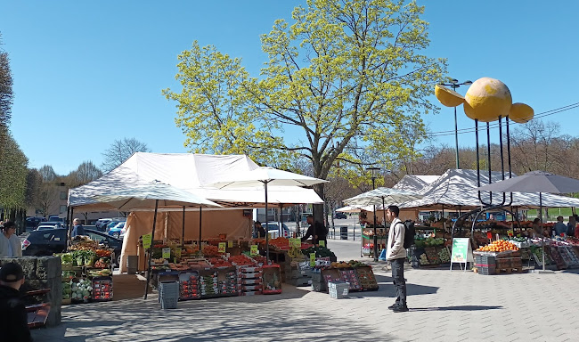 Brommaplan, 168 36 Stockholm