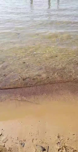 Restaurang Sjövik - Gastronomi och hotellverksamhet