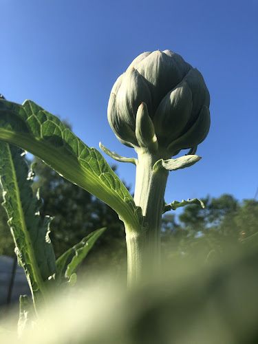Opinii despre Trädgården på Skäret în Skäret - Gastronomi och hotellverksamhet