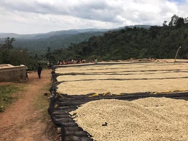 Opinii despre Red Fox Coffee AB Sweden în Stockholm - Gastronomi och hotellverksamhet