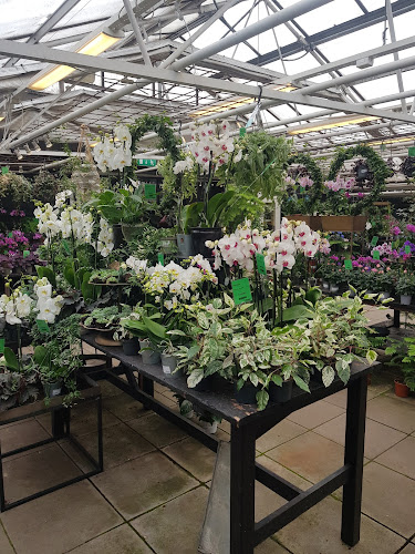 Åsby Kött & Vilthandel - Gastronomi och hotellverksamhet