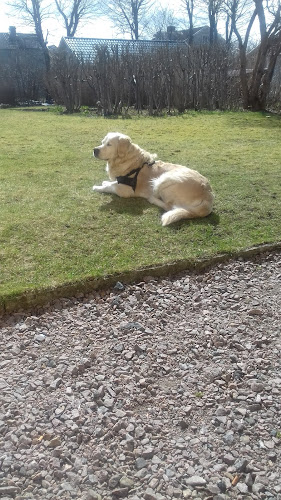 Hela Människan/Ria i Falköping - Falköping