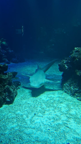 Universeum (RESTAURANG)