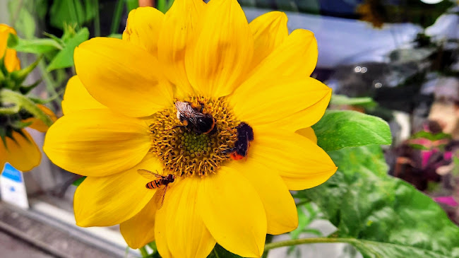 Ånäsvägen 20, 416 67 Göteborg