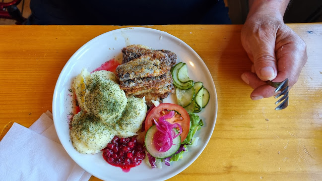 Comments and reviews of Skutskepparn