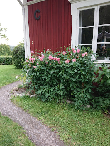 Cafe berget - Degerfors