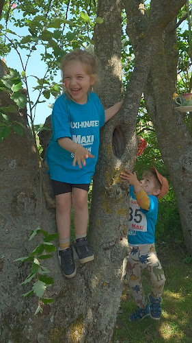 Reviews of Särdals kvarn in Steninge - Gastronomi och hotellverksamhet