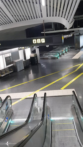 Reviews of Laughing Duck in Stockholm - Gastronomi och hotellverksamhet