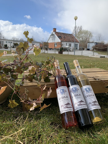 Ivögården Mat & Vingård - Fjälkinge