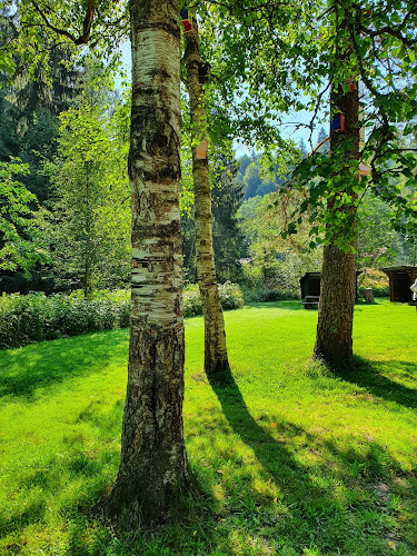 Comentarii opinii despre Fäboden i Säterdalen