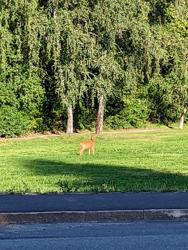 Opinii despre Gateau Södra Ängby în Bromma - Gastronomi och hotellverksamhet