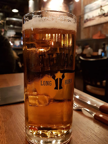 Texas Longhorn Älvsjö