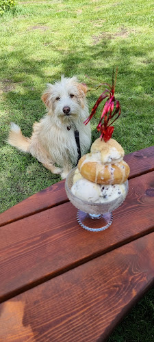 Glass & Berså Gullspång - Gastronomi och hotellverksamhet