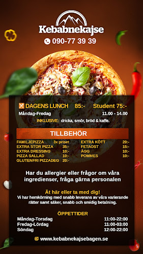 Comments and reviews of Kebabnekajse Pizzeria