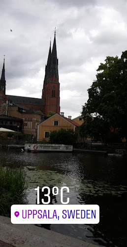 Reviews of Café Årummet in Uppsala - Gastronomi och hotellverksamhet