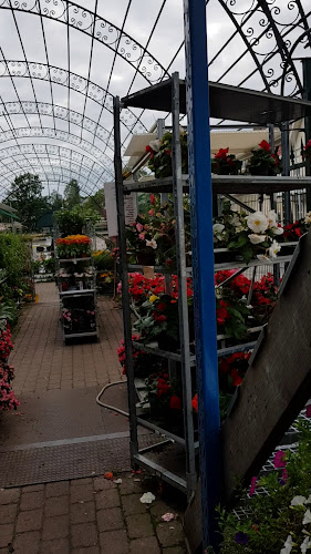 Solrosens Blommor Blomsterhuset i Arvika AB - Gastronomi och hotellverksamhet