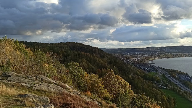 Opinii despre Brunstorps Trädgårdscafé în Huskvarna - Gastronomi och hotellverksamhet