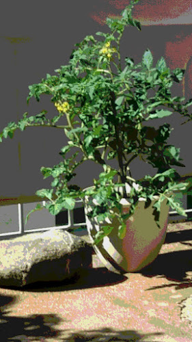 Hela Människan-Kontakten - Köping