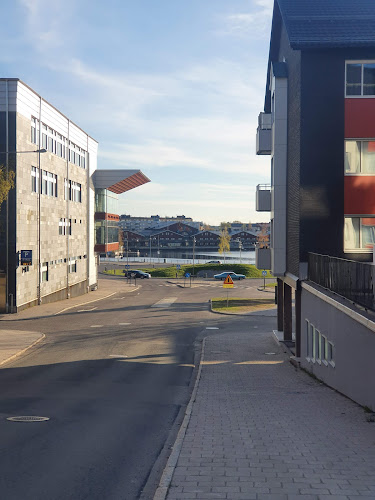 Comentarii opinii despre Pastabacken