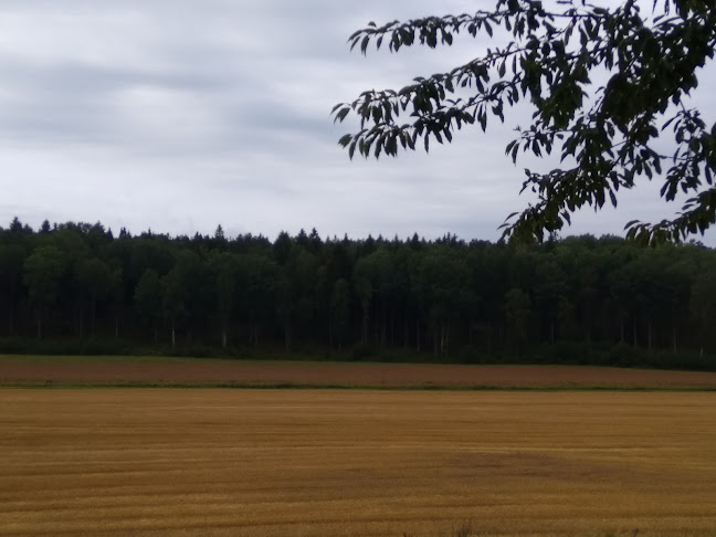 Comentarii opinii despre Enhörna Pizzeria