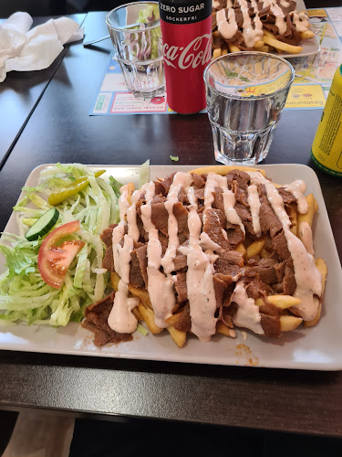 Kebabnekajse Pizzeria - Gastronomi och hotellverksamhet