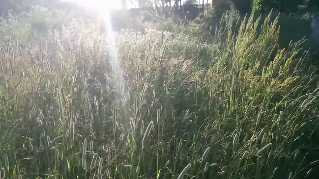 Jord & Bord Örnahusen - Borrby