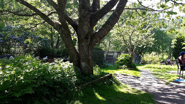 Kaffestugan Lyckan - Göteborg