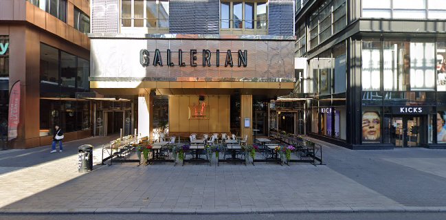 Vete-Katten Gallerian