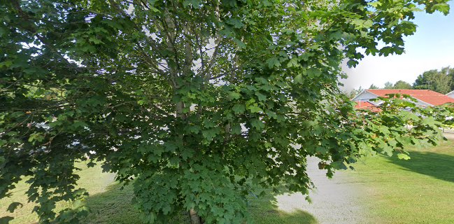 Comentarii opinii despre Padova Pizzeria