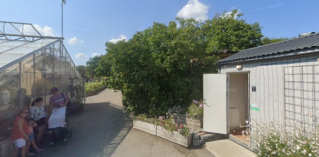 Rosendals Trädgårdskafé