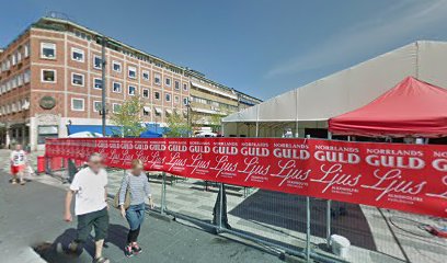 Växt och blomsterstånd