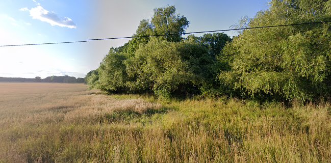 Blåklockan sommarcafe’