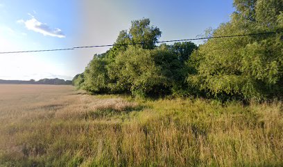 Blåklockan sommarcafe’