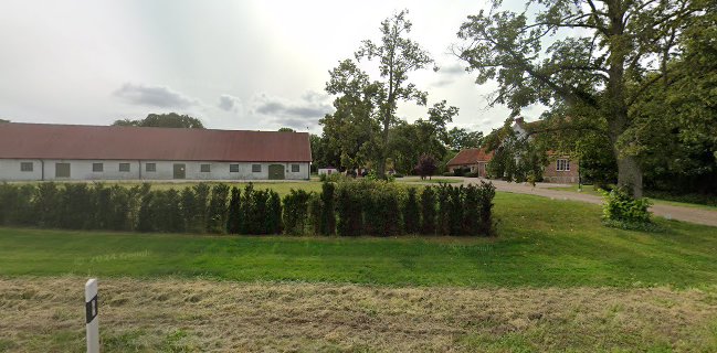 Bageri Surkultur - Gastronomi och hotellverksamhet