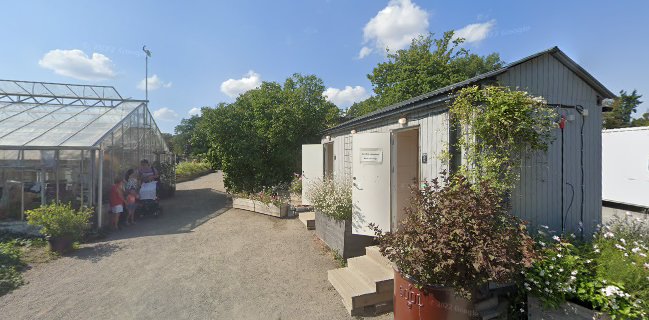 Opinii despre Rosendals Trädgårdskafé în Stockholm - Gastronomi och hotellverksamhet