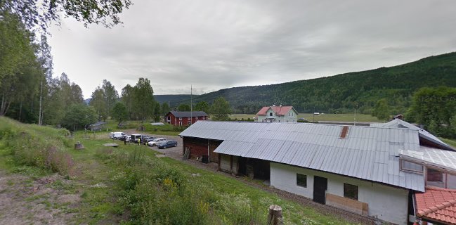 Nedergårdens Vilt & Natur