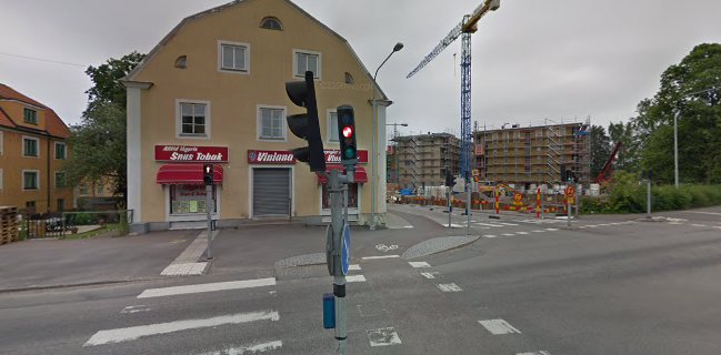 Comentarii opinii despre Vinland