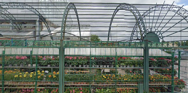 Solrosens Blommor Blomsterhuset i Arvika AB