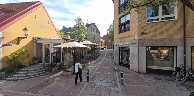 Fengsson Dumpling House